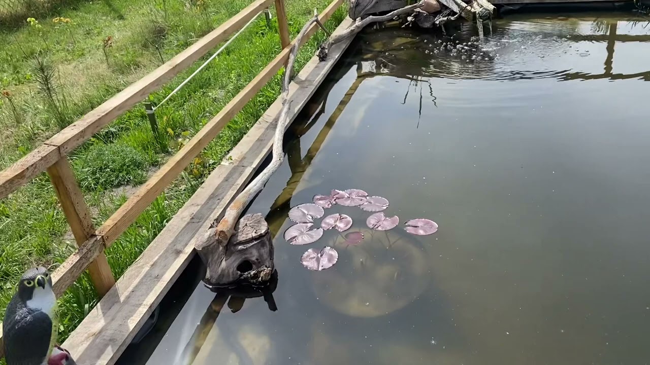 Stan wody na 08.05.2024