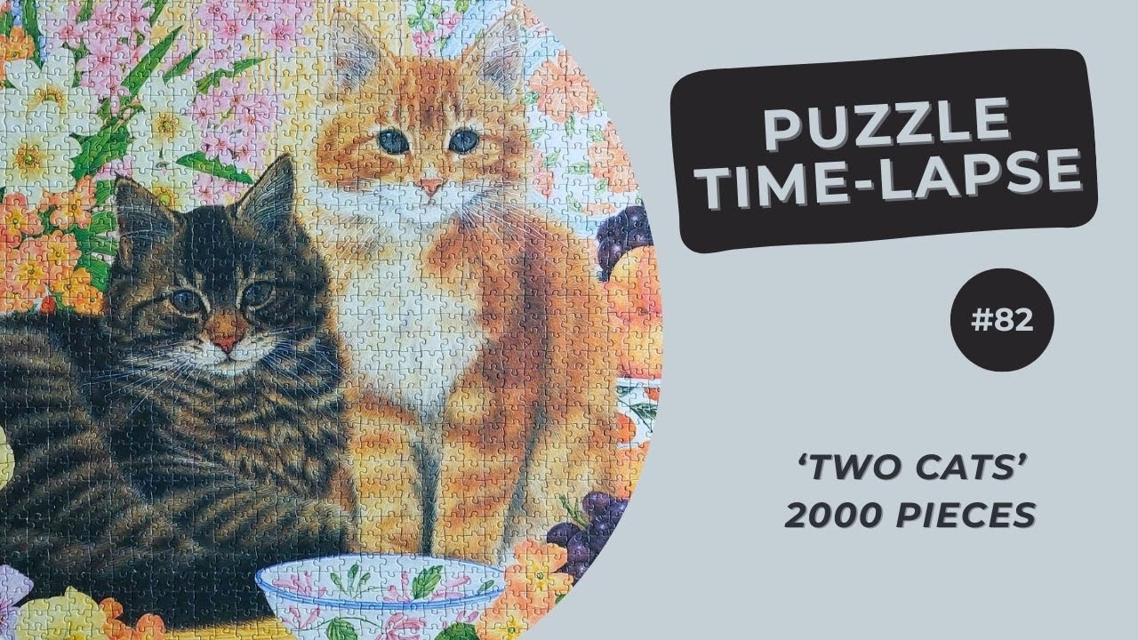 2000 pieces Jigsaw Puzzle | Two Cats | Time Lapse #82