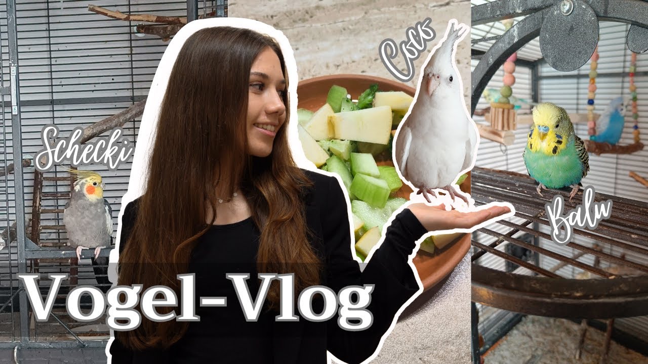 VOGEL-VLOG | Alltag, Ausmisten, Emotional-Bachelorarbeit-Support