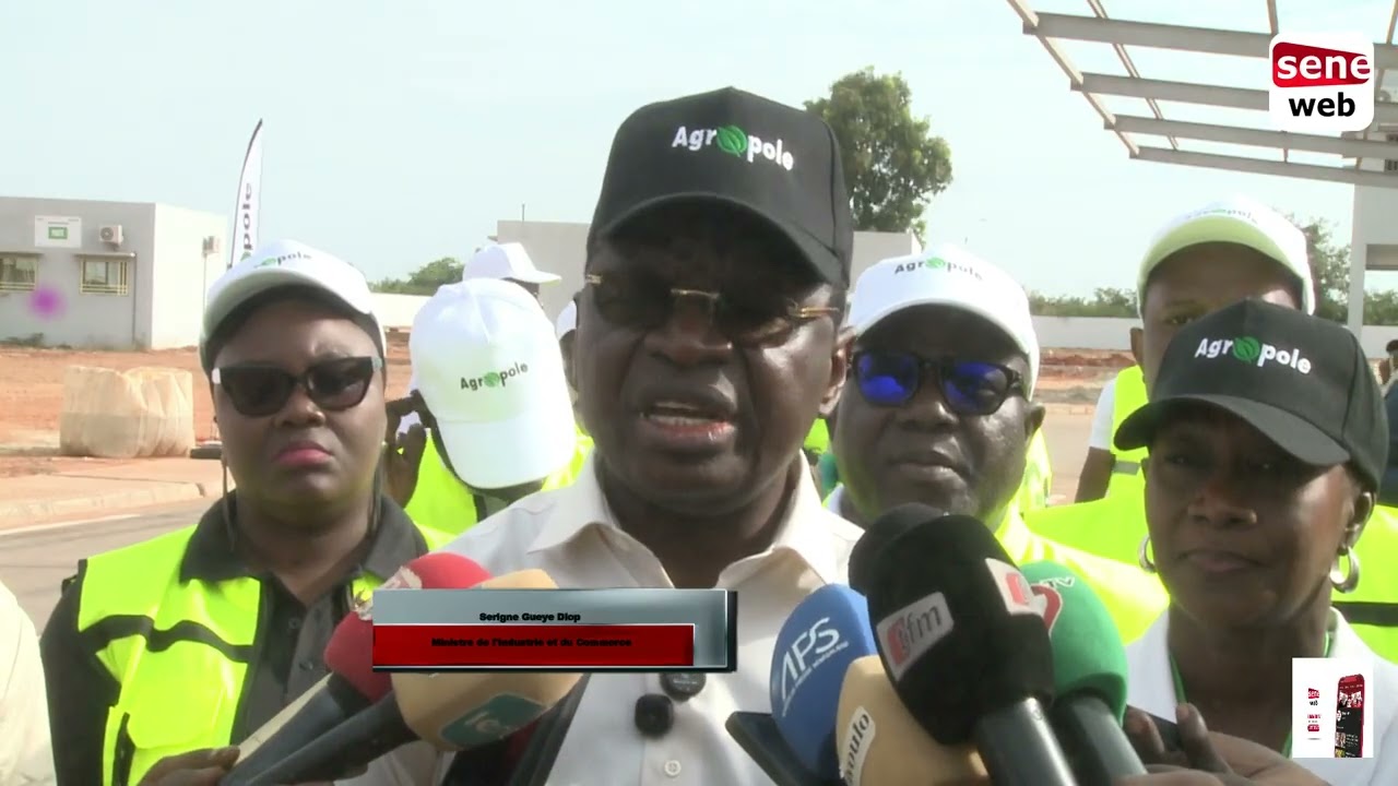 Casamance : L’Agropole Sud, futur hub industriel aux 50 000 emplois