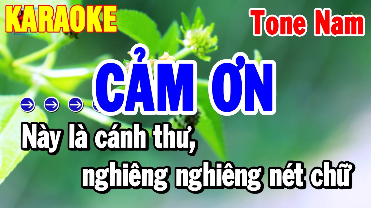 Karaoke Cảm Ơn Tone Nam Nhạc Sống Dễ Hát Nhất 2026 | Thanh Hải