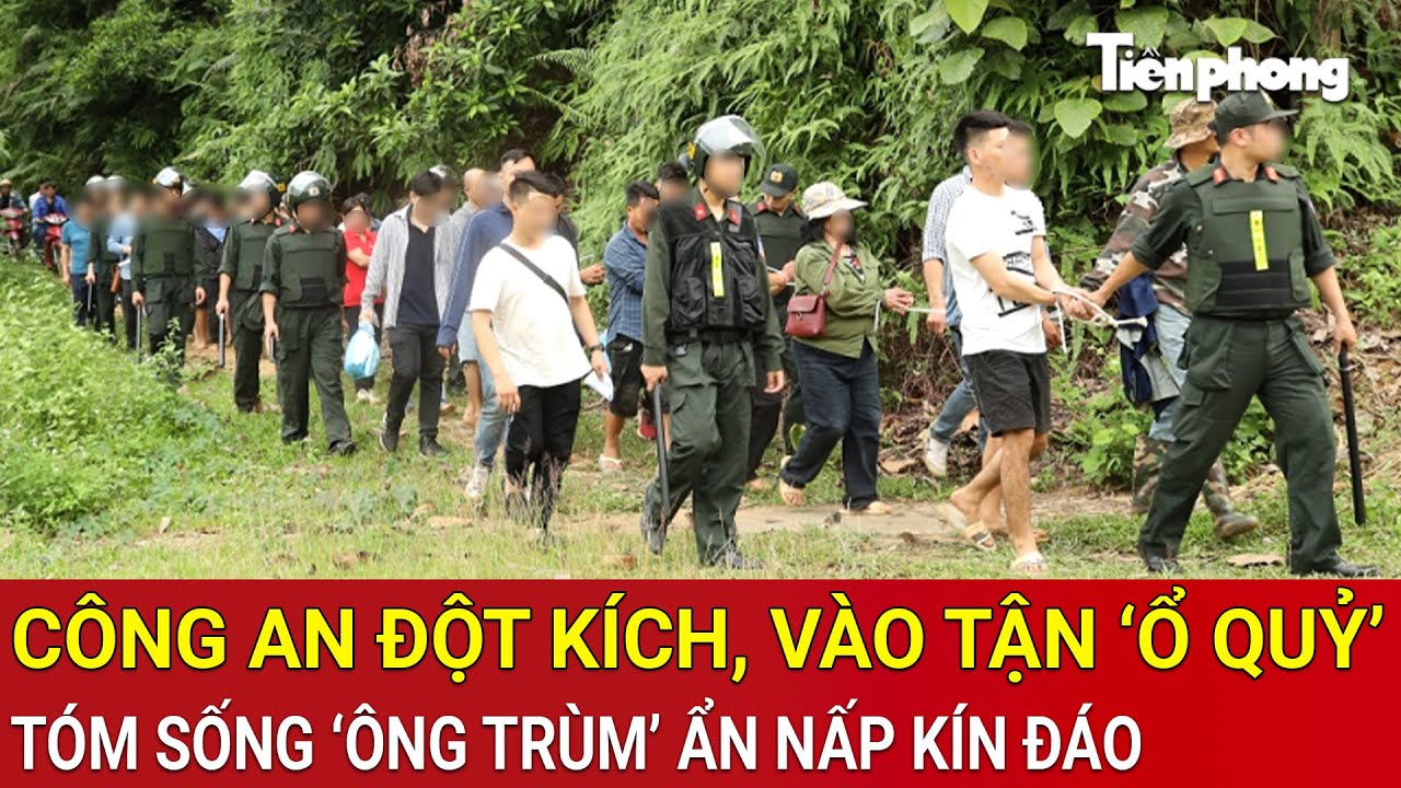 Thời sự nóng: Toàn cảnh công an vào tận ‘ổ quỷ’ tóm sống ‘ông trùm’ ẩn nấp kín đáo trong rừng