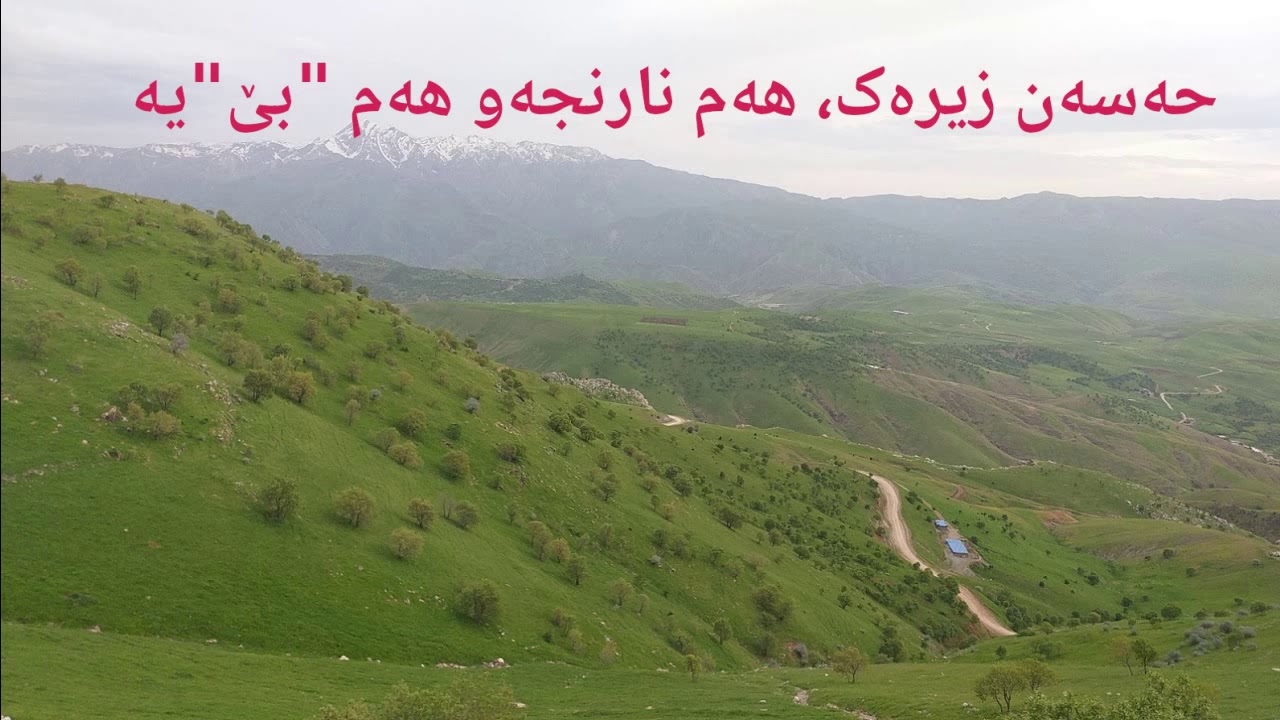 Hassan Zirak, Ham Narince u حەسەن زیرەک، هەم نارنجەو هەم بێ‌یە