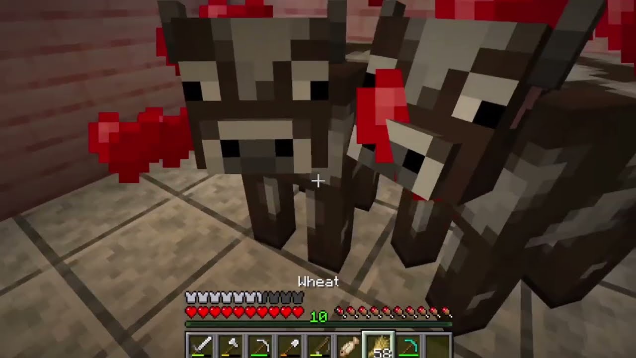 Quest to beat vanilla Minecraft ~ The two portals