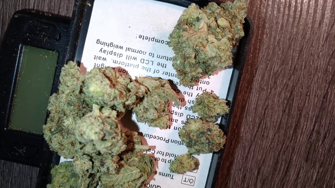 Do Si Dos Strain Review! Fire! Gas! Strong!