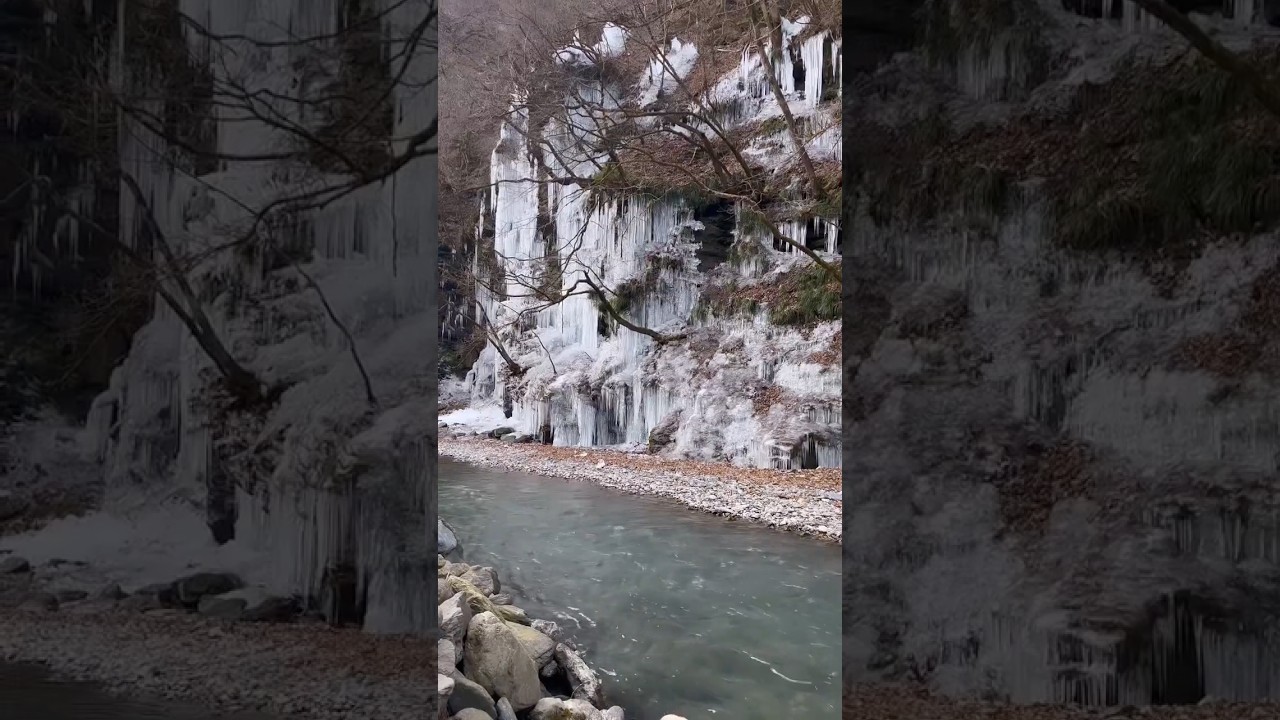 The wonderful miracles of nature🍃🇯🇵😇 