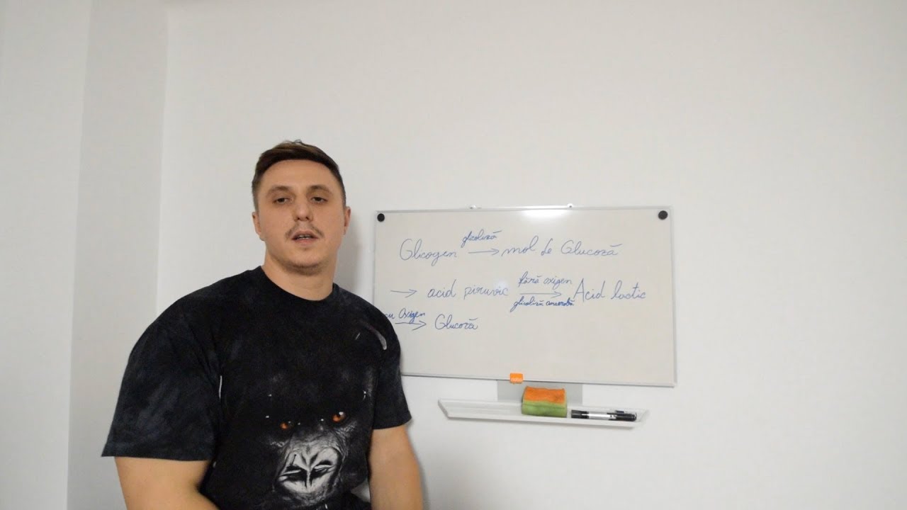 Ce Este Glicogenul/Acidul Lactic