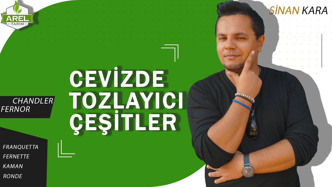 CEVİZDE TOZLAYICI ÇEŞİTLER NELER ?