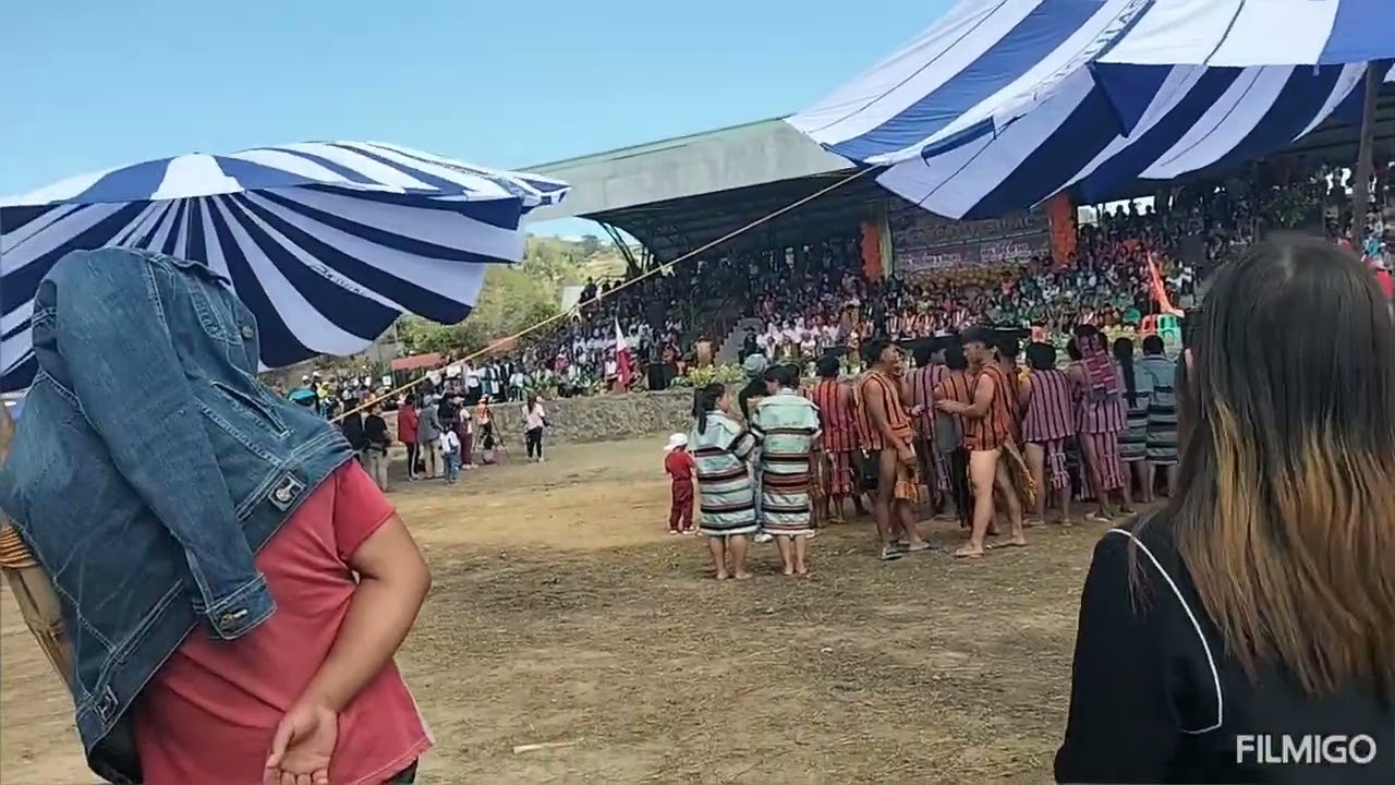 FIRST Carrot Festival 