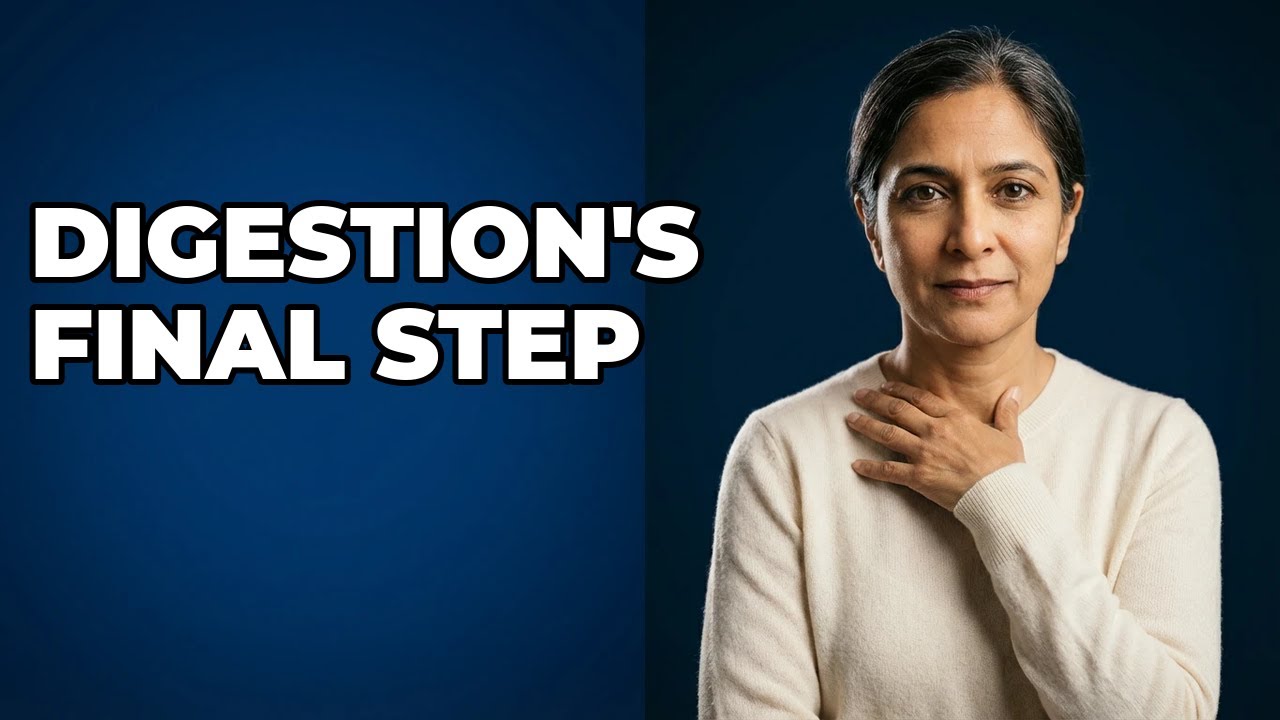 How Do Rectum and Anus Complete the Digestive Process?