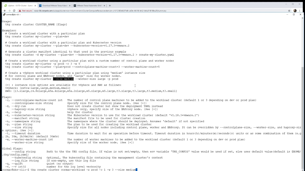 Using the TKG command line to deploy a TKG workload Kubernetes cluster on VMware vSphere