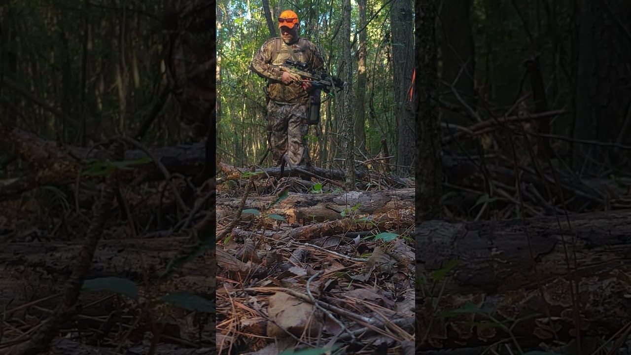 Hunt trail prep 