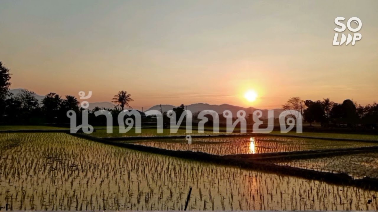 น้ำตาทุกหยด | Peace Worship | Cv.lu~mienh #diemv-diemv wuom-mueic.