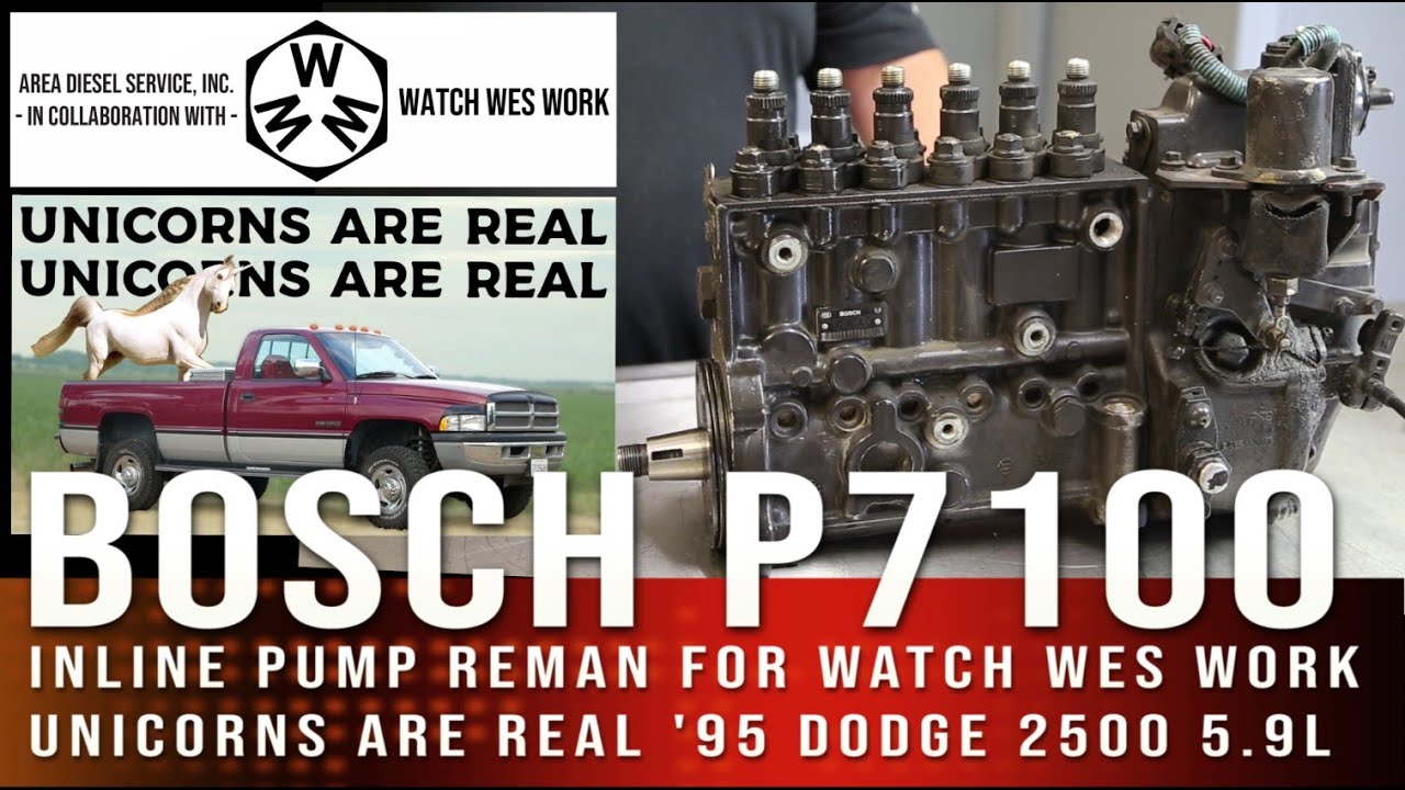МЕНЕЕ ЧАСА! Bosch P7100 Rebuild 4 MINT 5.9L 1995 Dodge Ram x @WatchWesWork Единороги реальны!
