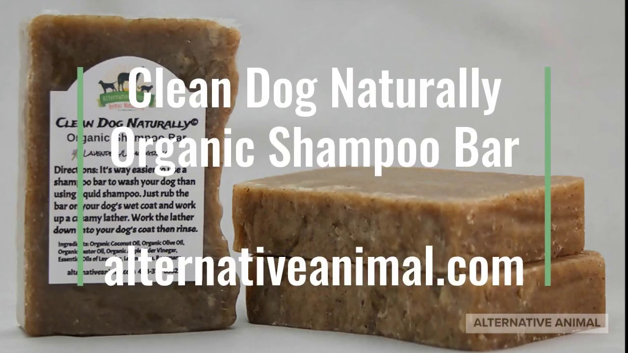 Organic Dog Shampoo Bar - Clean Dog Naturally by Alternative Animal
