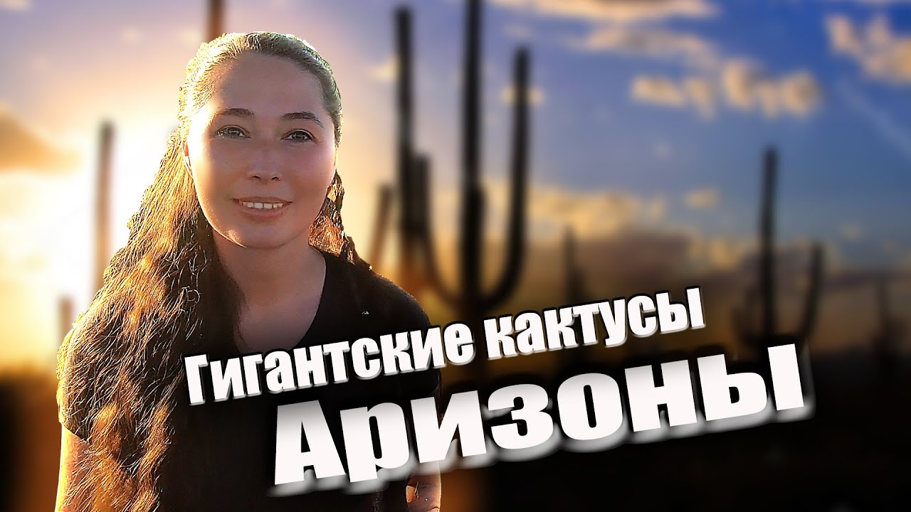 Аризона. Национальный парк Сагуаро и гигантские кактусы.