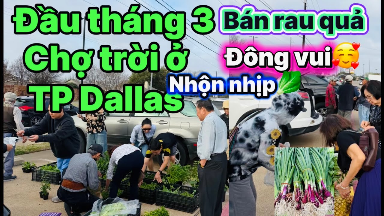 #281🇺🇸Đầu tháng 3 đi chợ trời thành phố Dallas🥬 bán rau củ quả đông vui tấp nập🥰🥦🌶️🥒🌽🫑