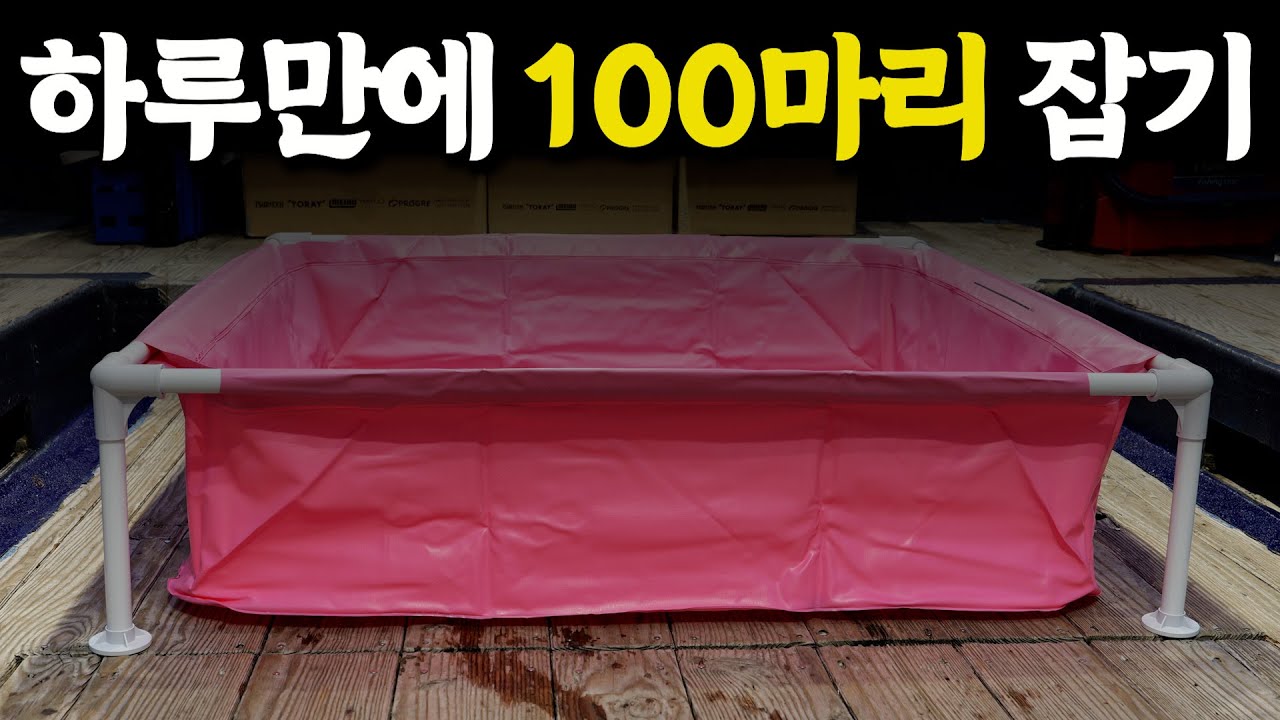 배위에서 13시간 동안 낚시를 하면 얼마만큼 잡을 수 있을까?? [박과장TV]