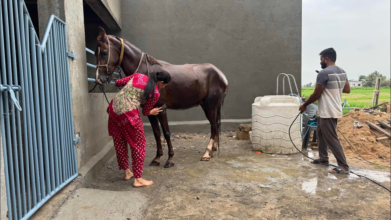 Papa ke ghar gye or toral ko ache se nehlaya ajj