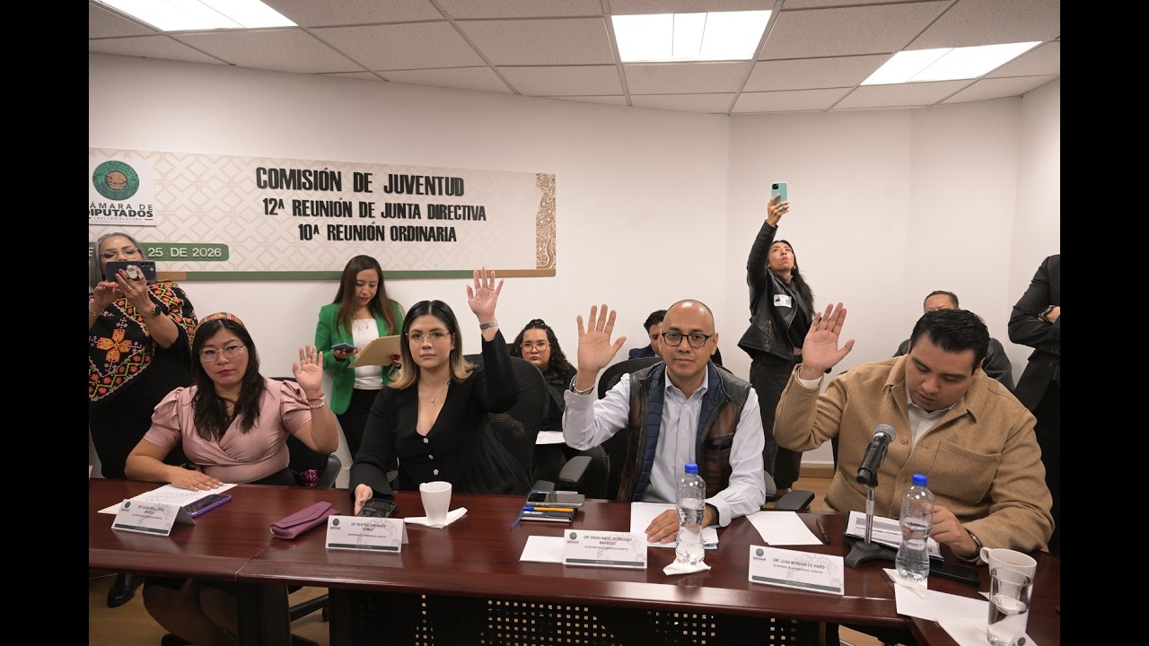 Reunión Ordinaria de la Comisión de Juventud