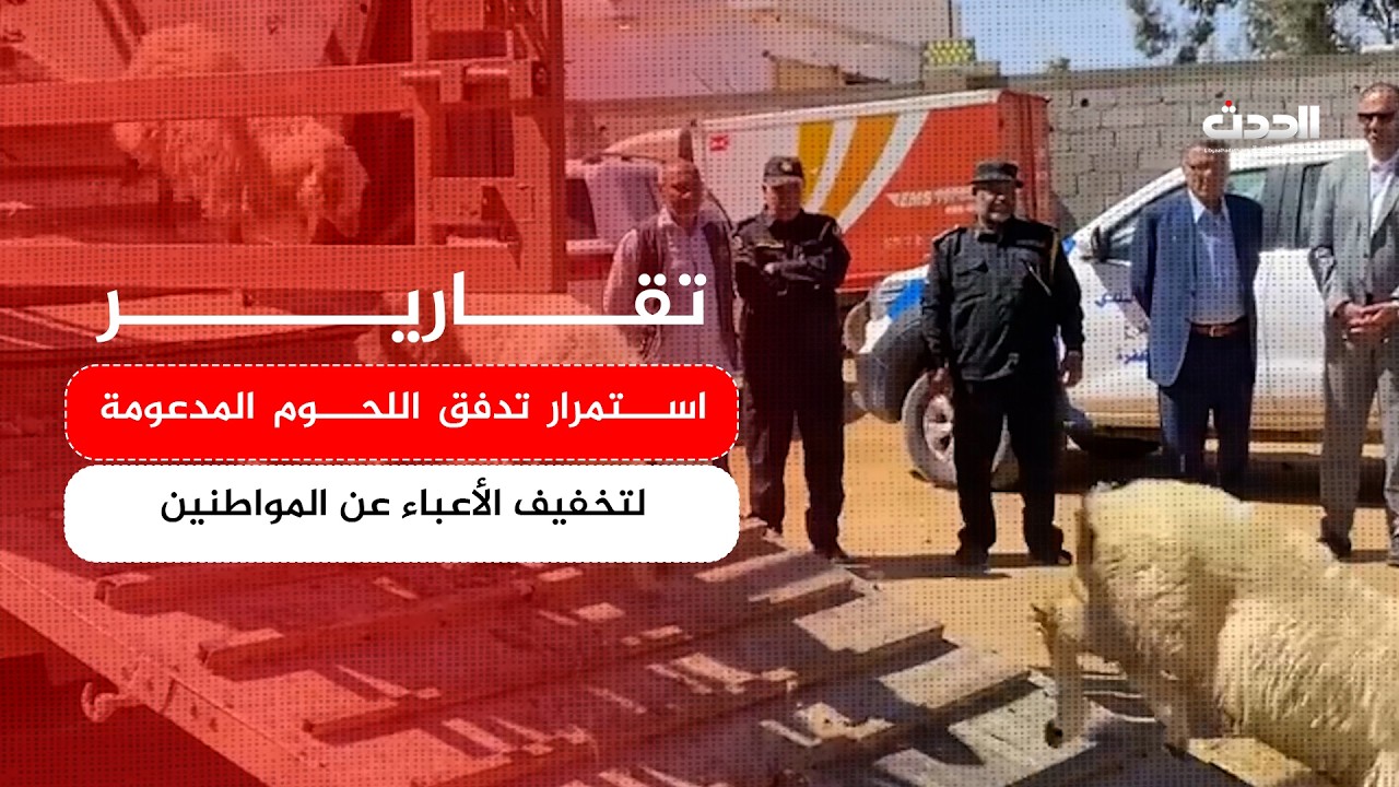 تقرير | استمرار تدفق اللحوم المدعومة لتخفيف الأعباء عن المواطنين