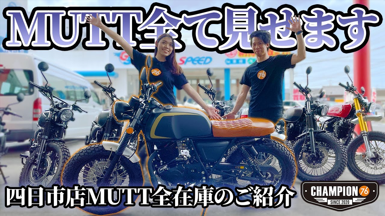 【MUTT】チャンピオン76四日市店全車種のご紹介！【レトロスタイル】