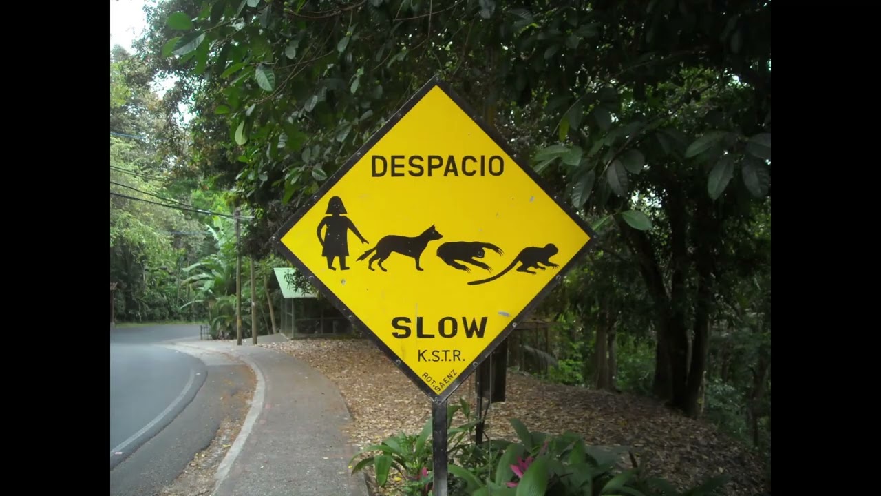 Ya Viene el Sol en Manuel Antonio National Park and Town, Costa Rica