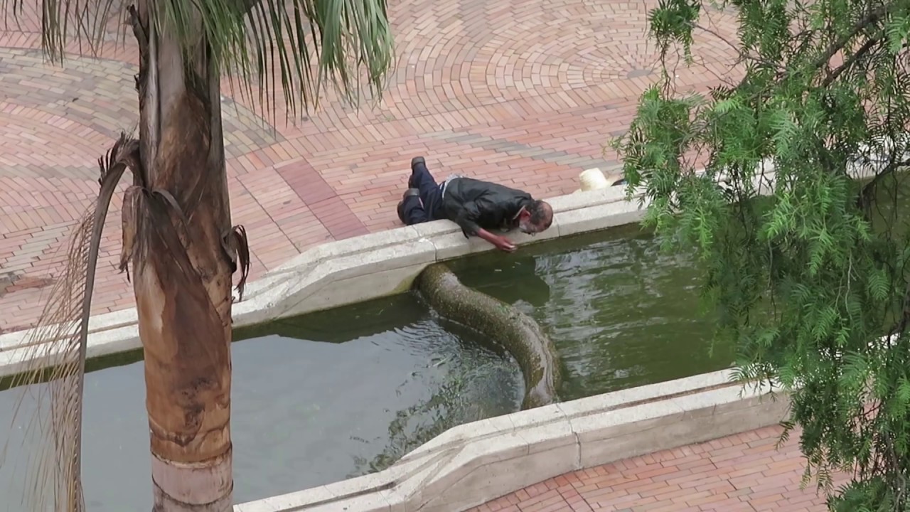 Los ba&ntilde;istas del Vicach&aacute; (R&iacute;o San Francisco)