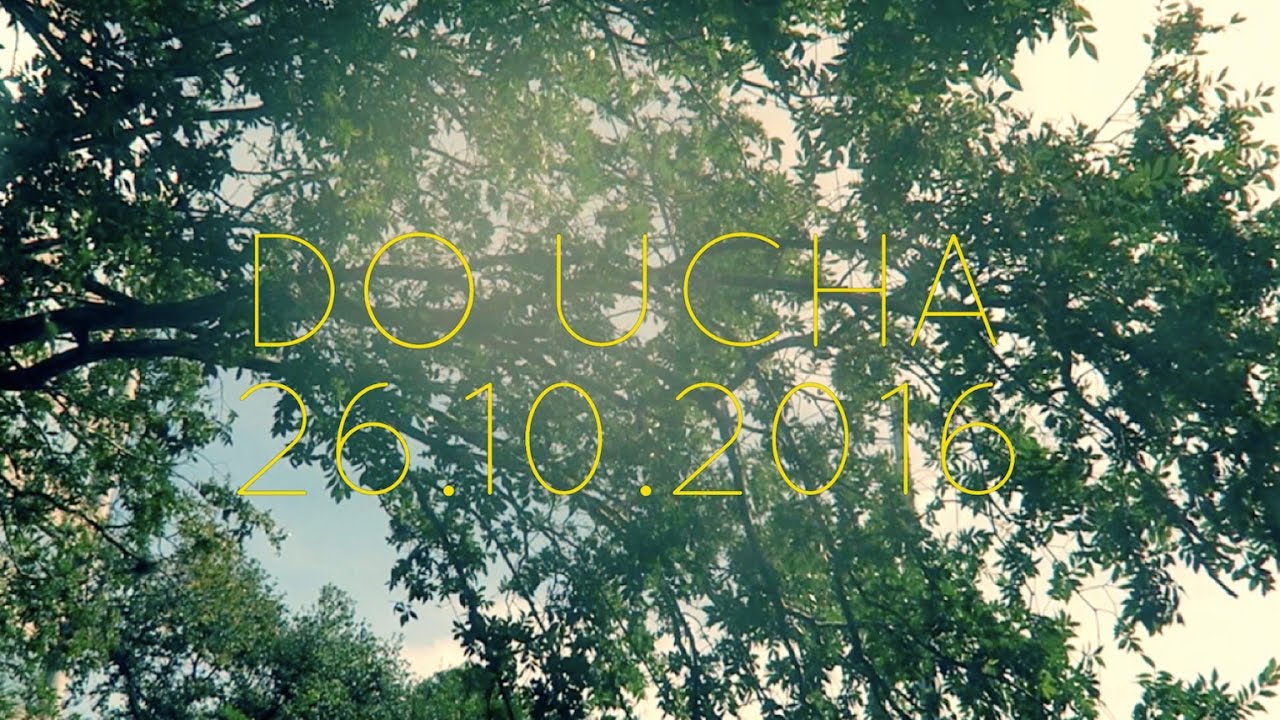 Do UCHA [26.10.2016]