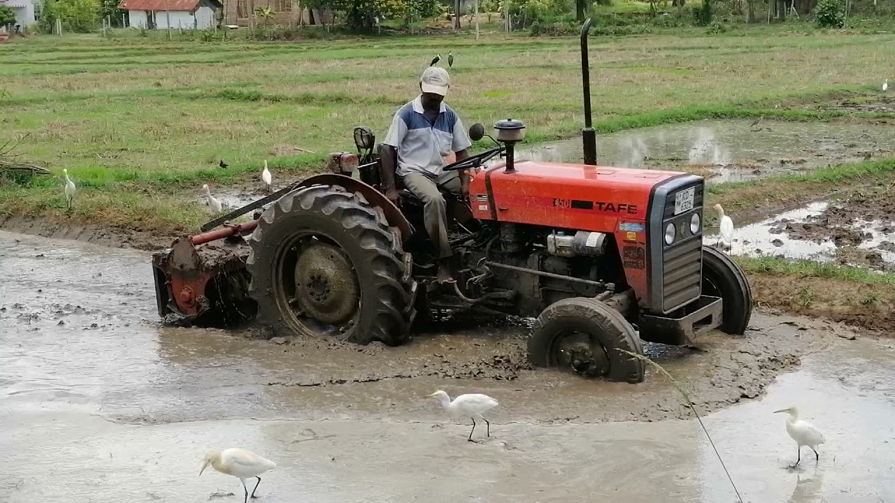 Tafe 45 di  tractor stuck in mud  sri lanka