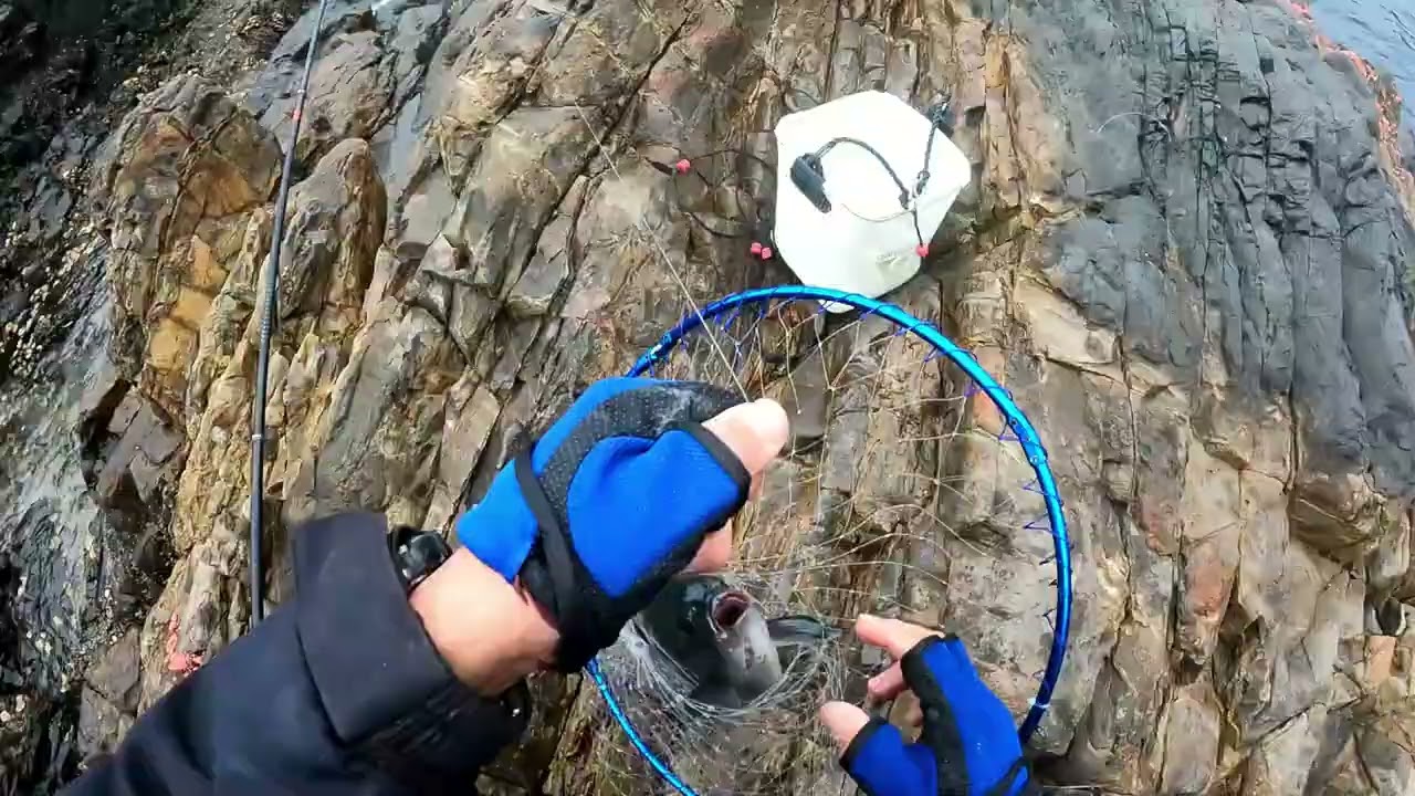 甑釣行釣行