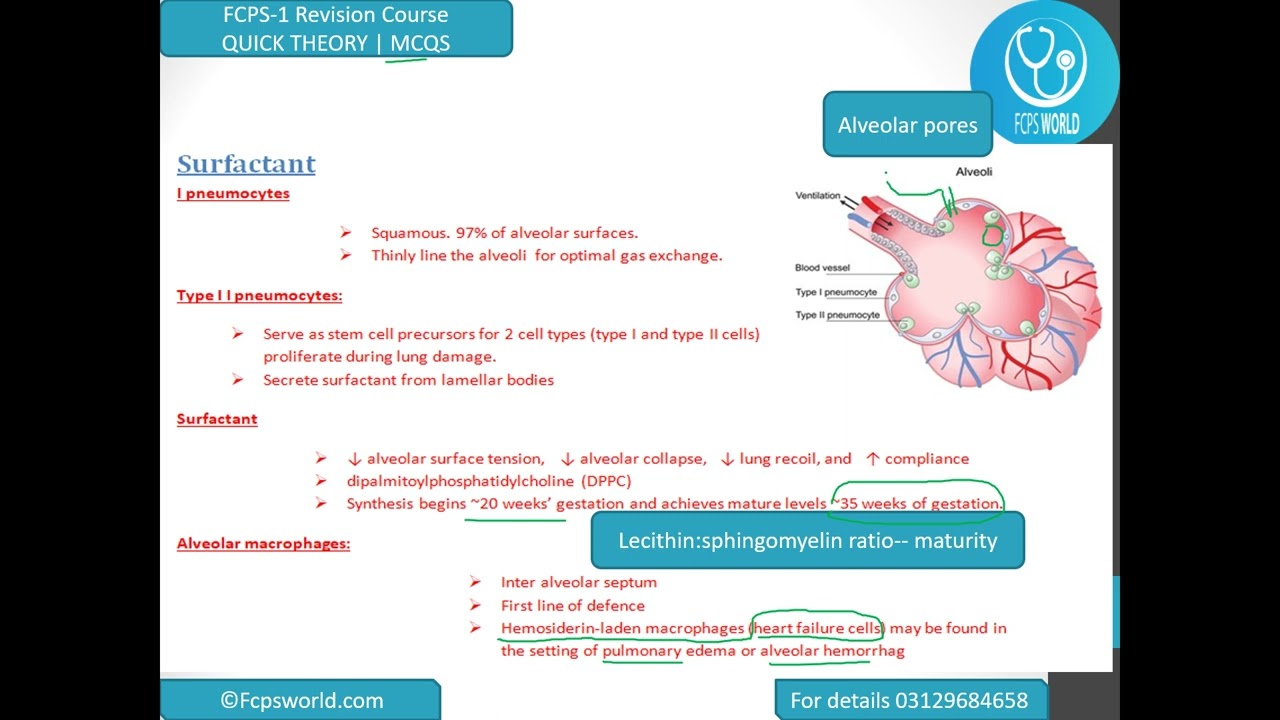 FCPS 1 Respiratory system