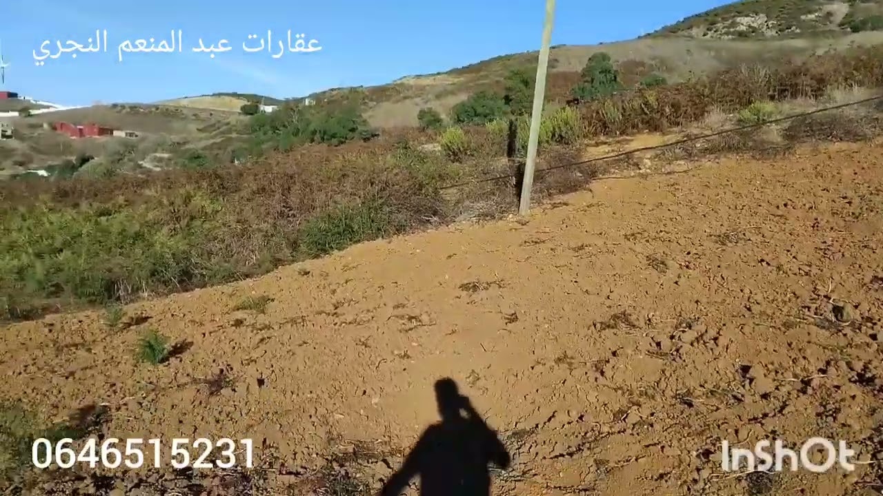 هميزة غزالة دار بلدية قديمة وغرسة المساحة 3000ميتر مفججة ومطلة على البحر 0646515231 نواحي القصر الصغ