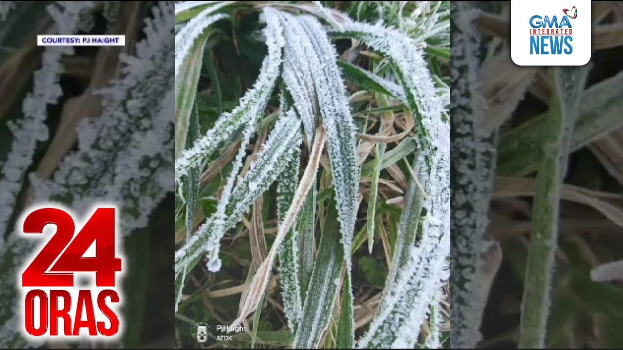 Ilang pananim sa Benguet, nabalot ng andap; temperatura sa Baguio, bumaba sa 10.6°C | 24 Oras