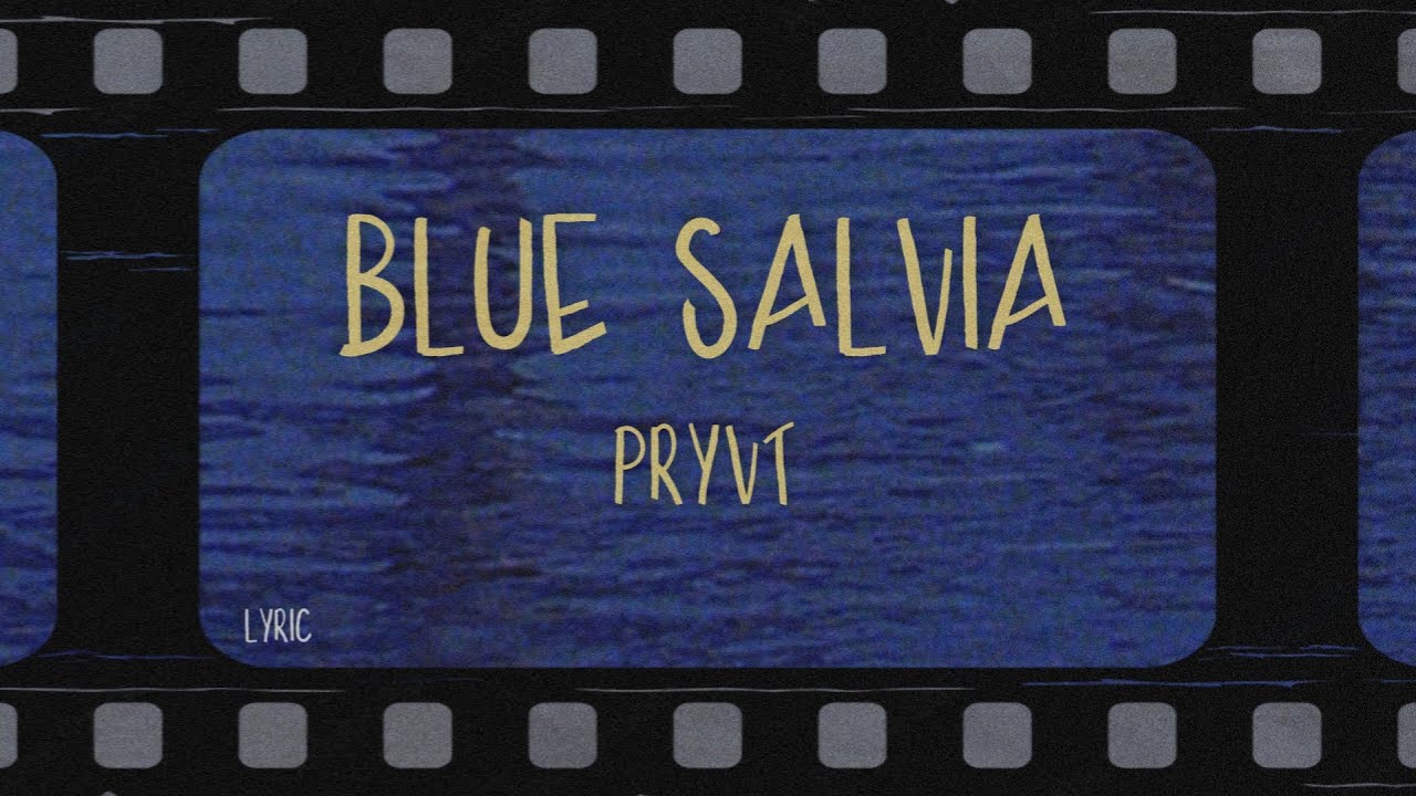 pryvt - blue salvia (Lyrics)