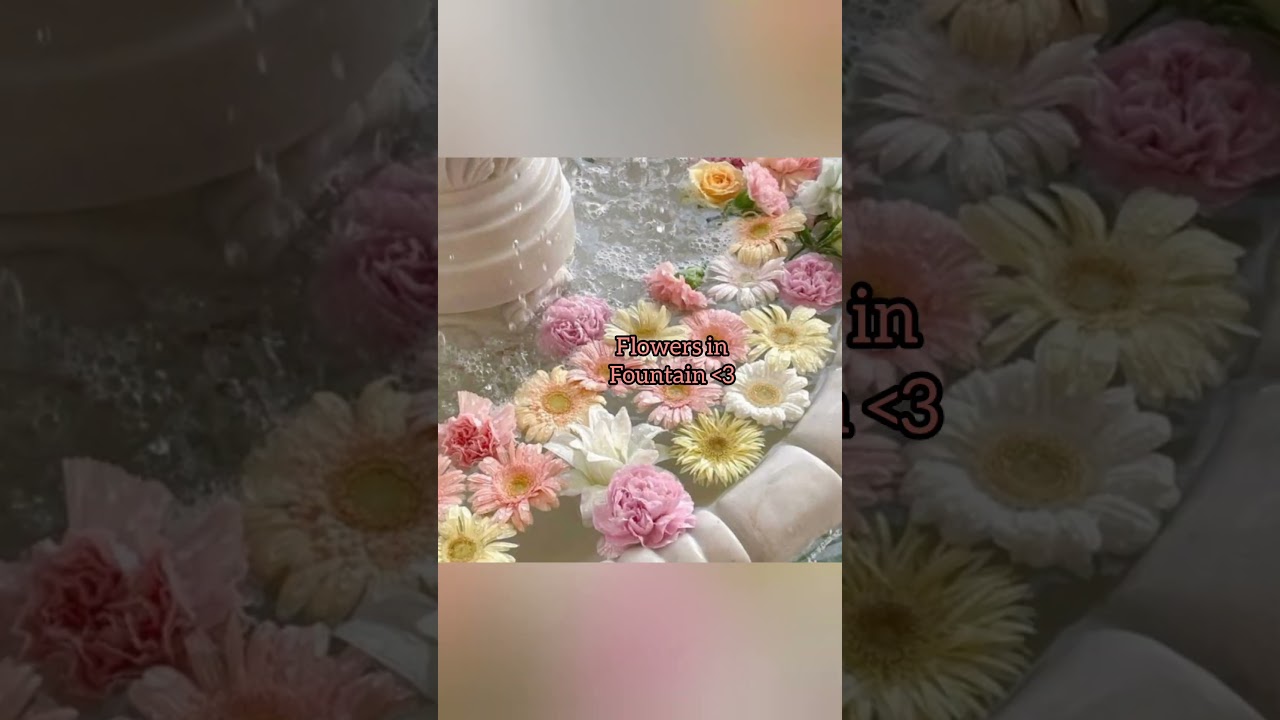Flowers in fountain ⛲😩 #flowers #love