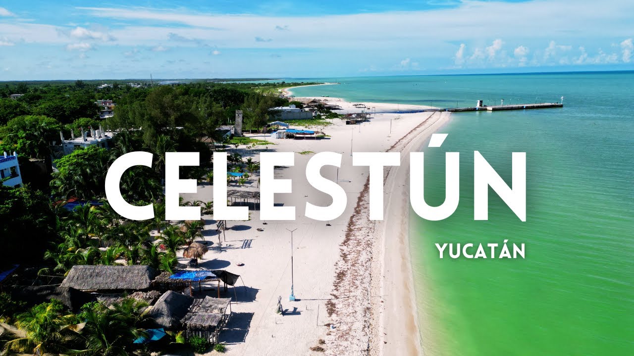 El PARAÍSO en la costa yucateca: CELESTÚN | Uri Ortega