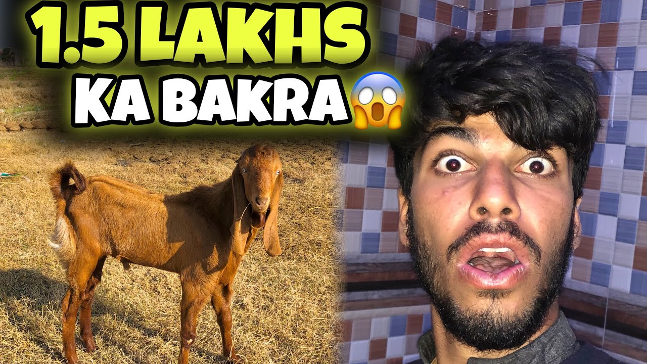 1.5 lakhs ka bakra 😱 khareed liya 😱 hassan ne botal pilai😱
