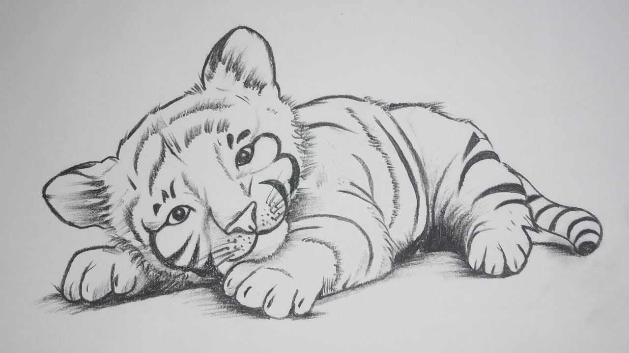 How to draw a cute little tiger 🐅/sketch tutorial 