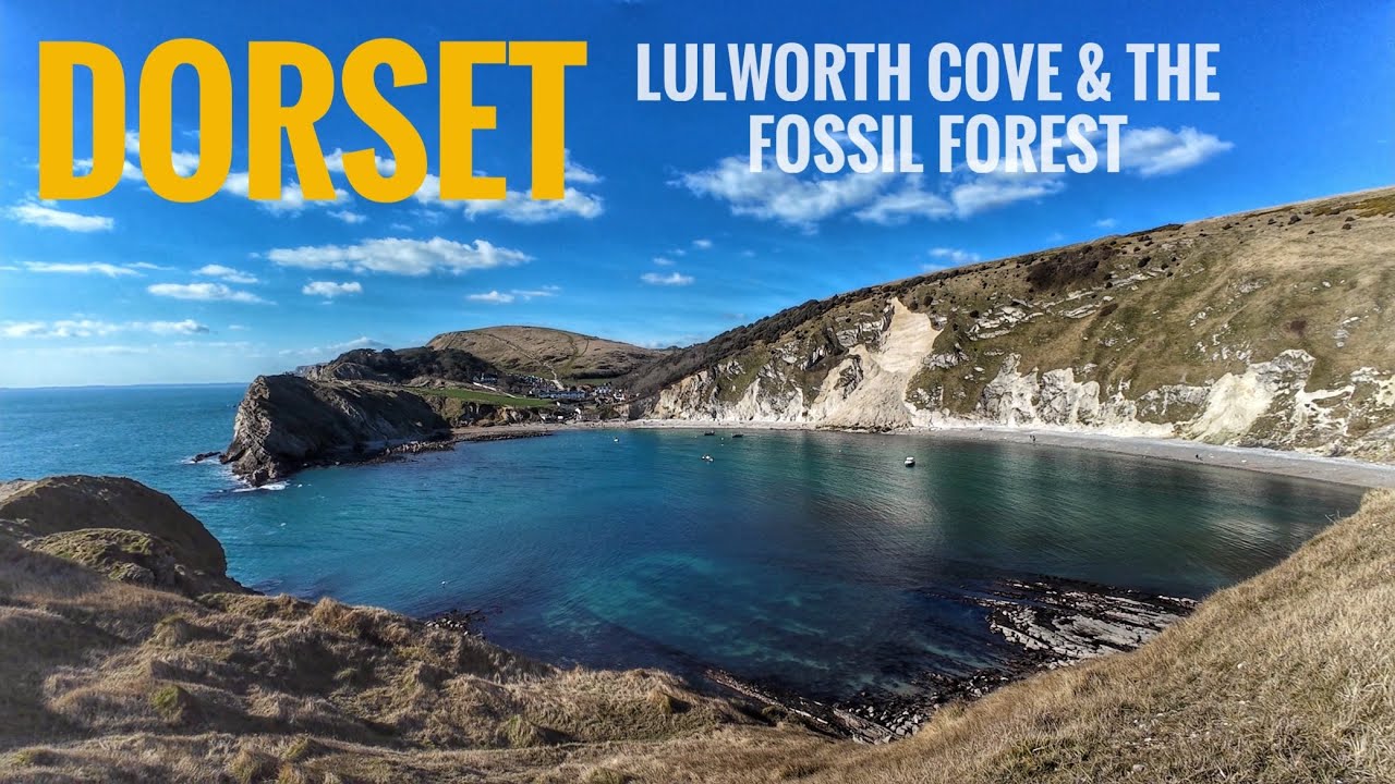 Stunning Coastal Walk & Scenery At Lulworth Cove & The Fossil Forest