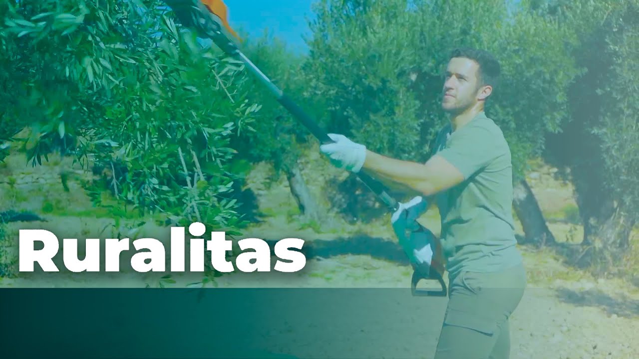 #RURALITAS | Oro Líquido Centenario