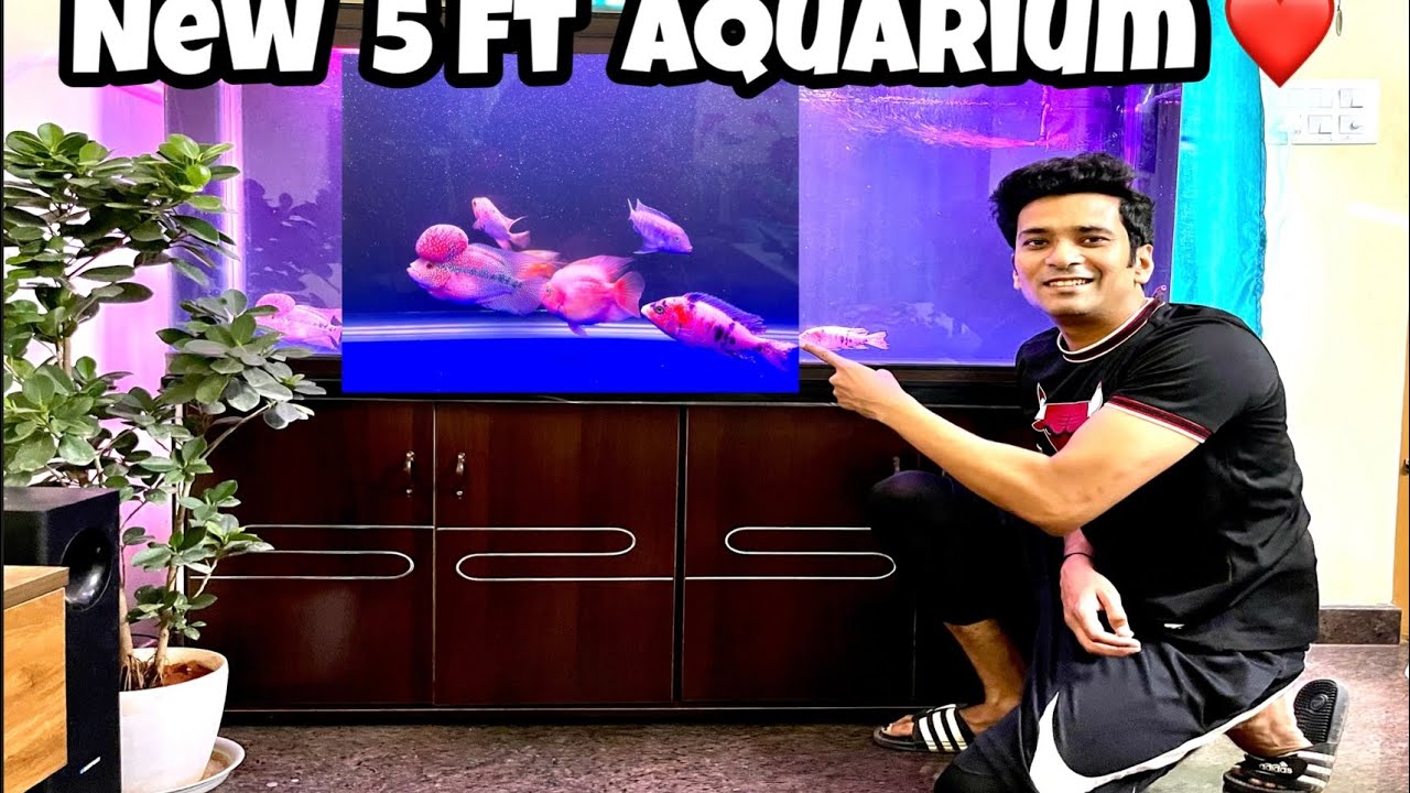 New 5 Feet Aquarium | Cichlids Aquarium | 5 Feet Imported Aquarium Price