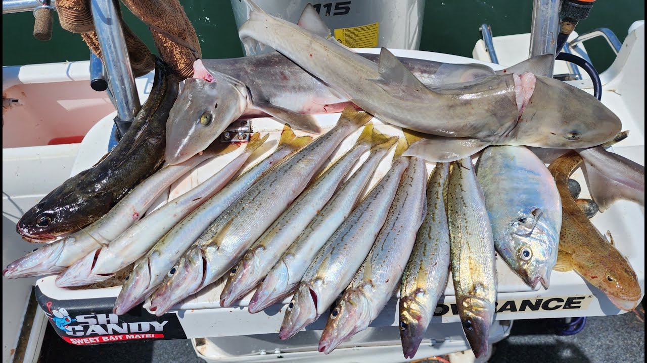 MIXED BAG - Western Port Fishing Jan 2023