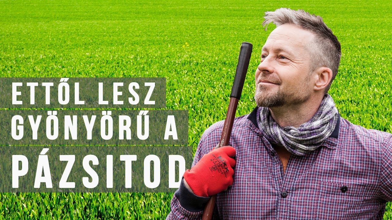 &Iacute;gy lehet a k&aacute;nikul&aacute;ban is gy&ouml;ny&ouml;rű a gyeped - vegyszermentes praktik&aacute;k, tippek &eacute;s t&aacute;pok