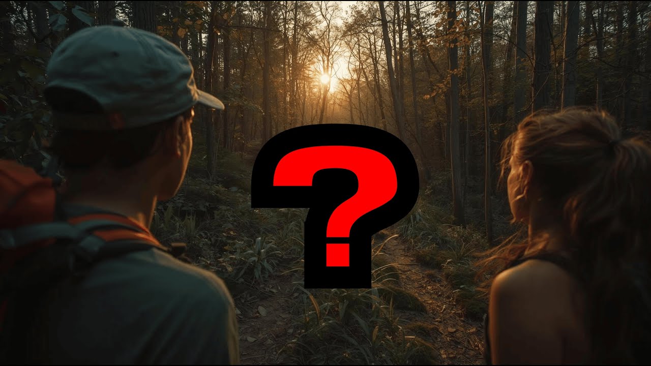 Co se stalo s turisty, kteří včera v noci zmizeli v lese?