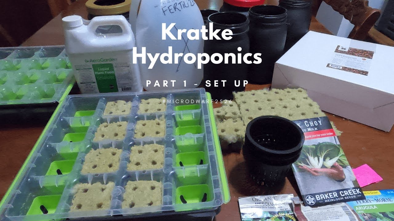 My First Time Trying Kratke Hydroponics Part 1 (Beginner Setup + Herb Seed Haul!) #microdwarf2526