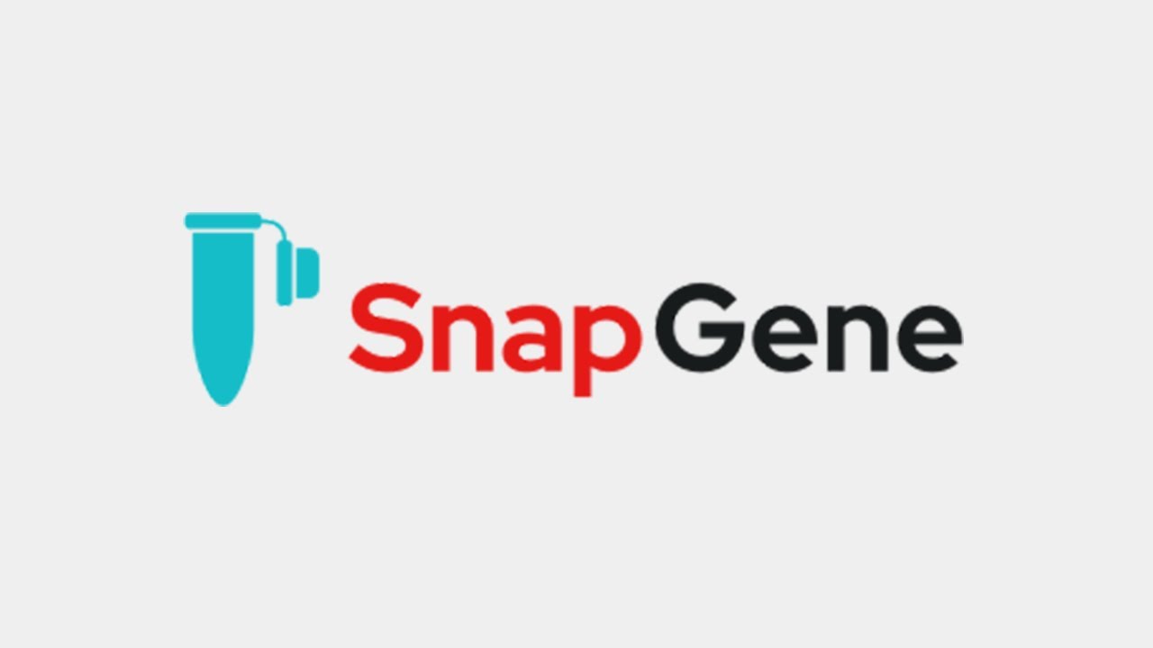 The Story Behind SnapGene with Founder Ben Glick