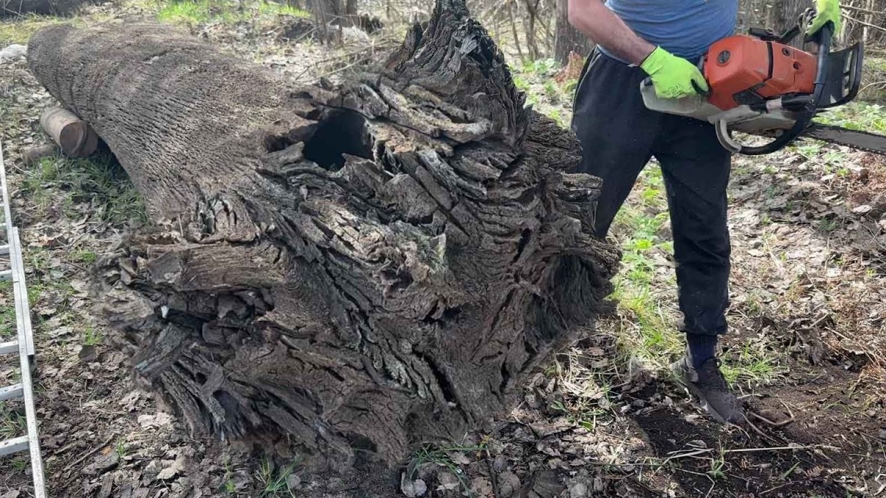 Древняя реликвия, практически уничтоженная при распиловке!