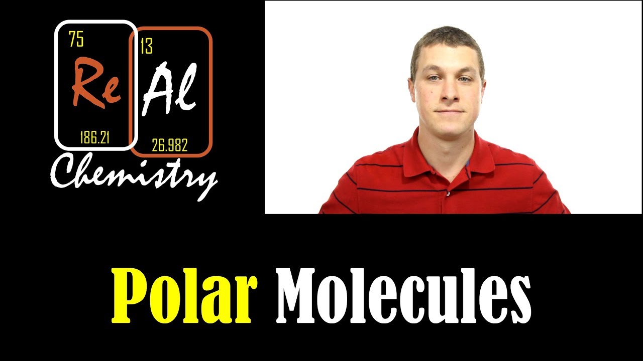 Как определить, полярна ли молекула — Полярные молекулы — Часть 3 — Реальная химия
