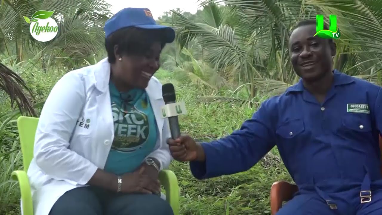AYEKOO: SCHOOLS IN AGRIC PROGRAM DABOASE SENIOR HIGH TECHNICAL SCHOOL